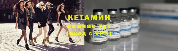 стаф Горняк