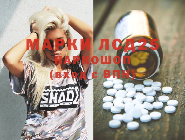 стаф Горняк
