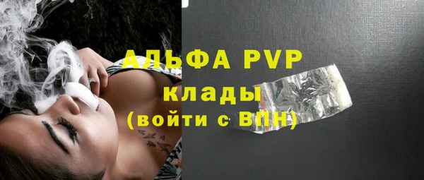 стаф Горняк